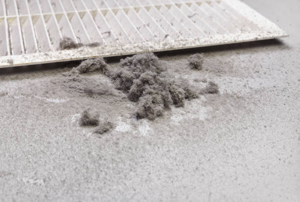 Best Ductwork Cleaning Services  in Berea, SC