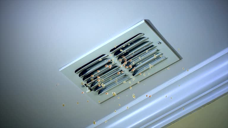 Best Best Air Duct Cleaning Company  in Berea, SC